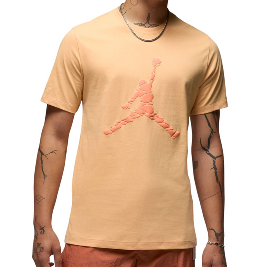 CAMISETA JORDAN ESSENTIALS
