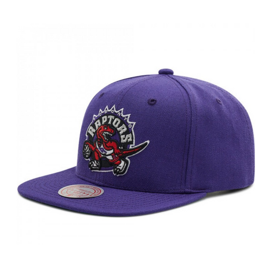 GORRA M&N TORONTO RAPTORS