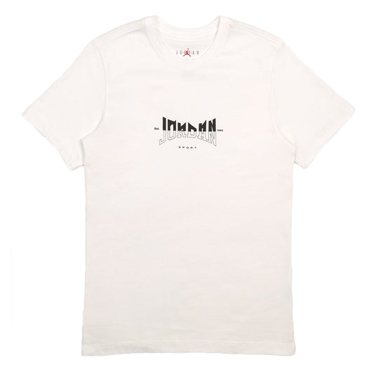 CAMISETA JORDAN SPORT