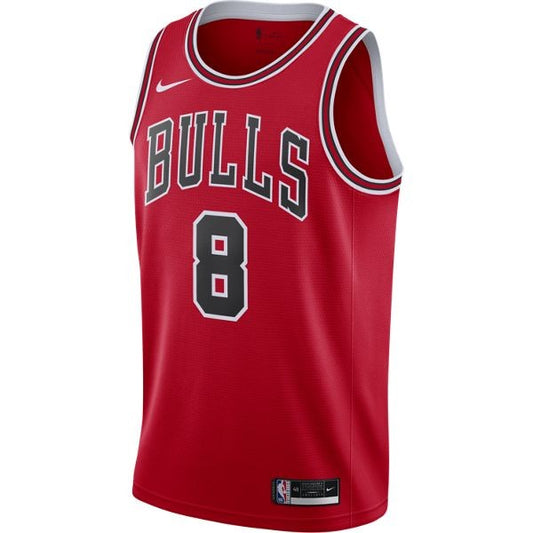 ICON EDITION CHICAGO BULLS - ZACH LAVINE