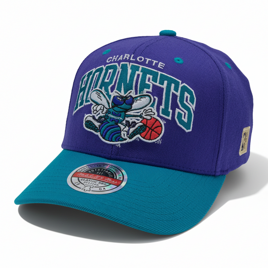GORRA M&N CHARLOTTE HORNETS