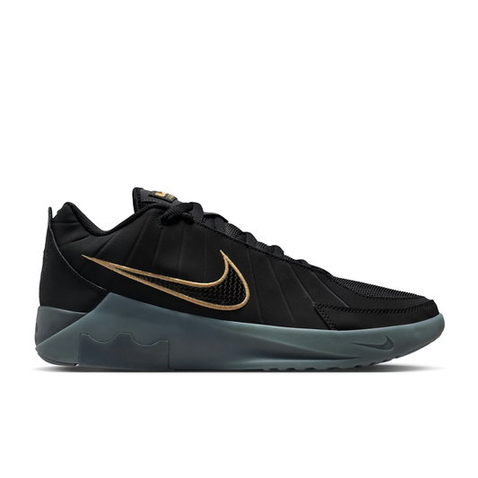 LEBRON WITNESS 9