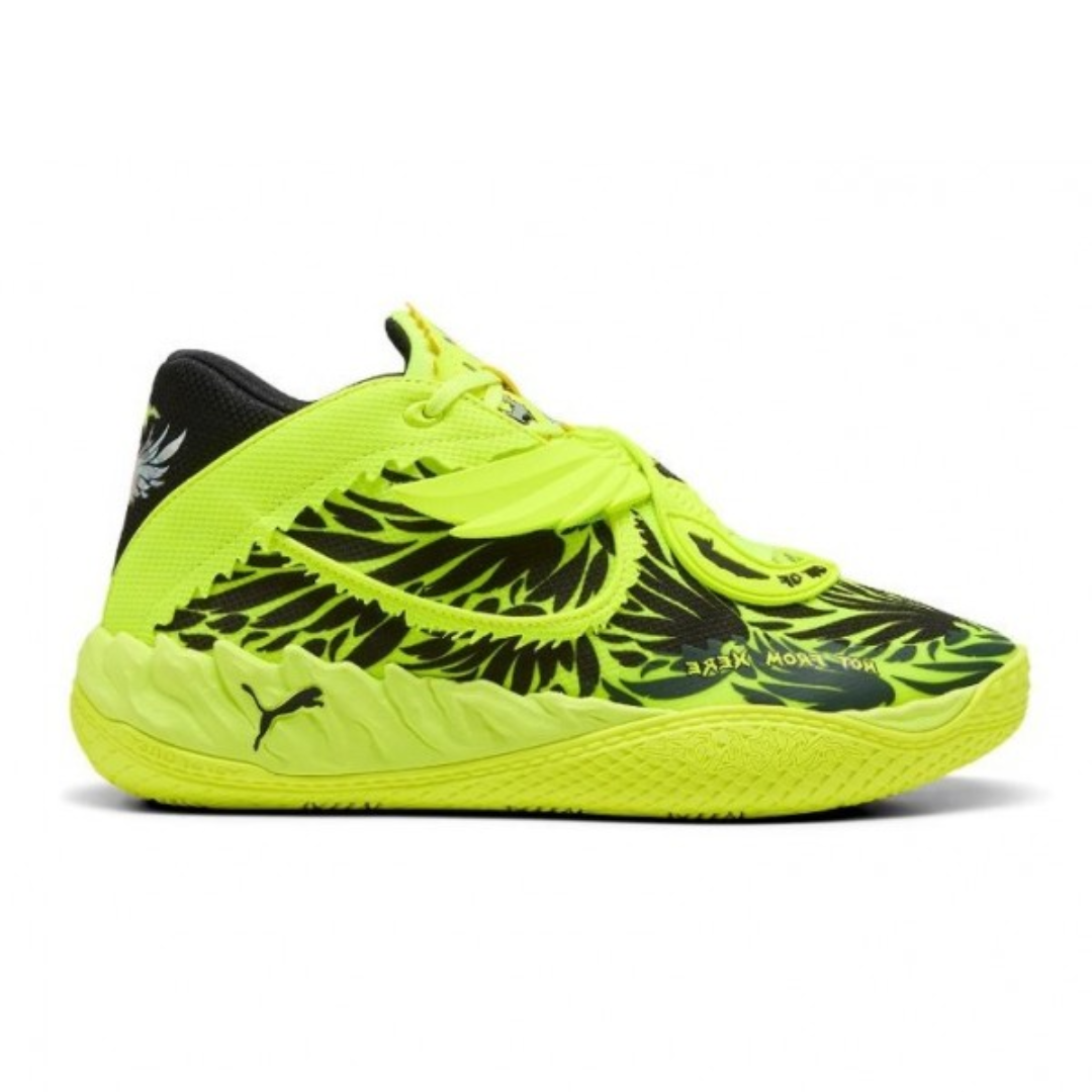 JUNIOR MB.05 "VOLTAGE"