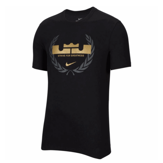 CAMISETA NIKE LEBRON